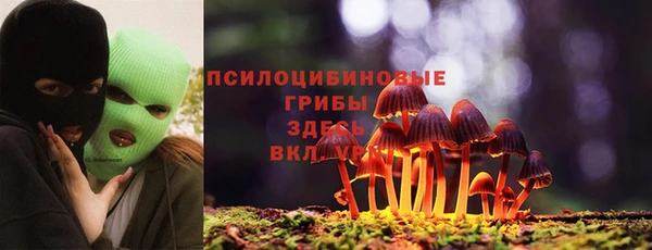 прущий лед Абаза