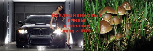 прущий лед Абаза