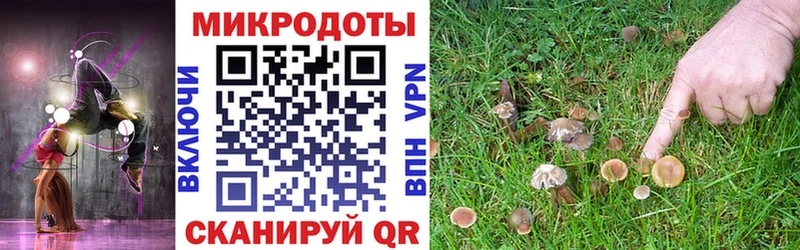 Галлюциногенные грибы MAGIC MUSHROOMS  где купить наркотик  Киржач 